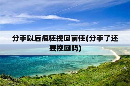 分手以后疯狂挽回前任(分手了还要挽回吗)