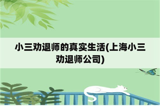 小三劝退师的真实生活(上海小三劝退师公司)