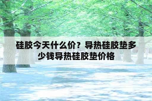 硅胶今天什么价？导热硅胶垫多少钱导热硅胶垫价格