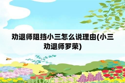 劝退师阻挡小三怎么说理由(小三劝退师罗荣)