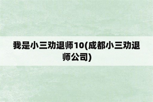 我是小三劝退师10(成都小三劝退师公司)