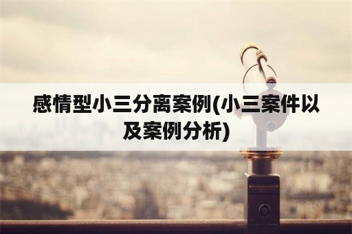 感情型小三分离案例(小三案件以及案例分析)