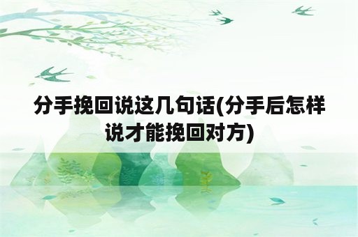 分手挽回说这几句话(分手后怎样说才能挽回对方)