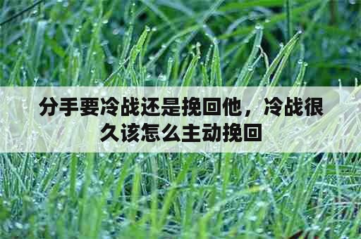 分手要冷战还是挽回他，冷战很久该怎么主动挽回