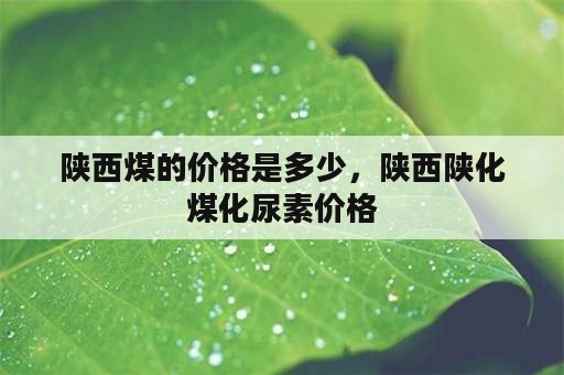 陕西煤的价格是多少，陕西陕化煤化尿素价格