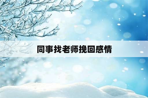 同事找老师挽回感情