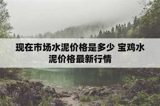 现在市场水泥价格是多少 宝鸡水泥价格最新行情