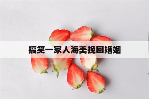 搞笑一家人海美挽回婚姻