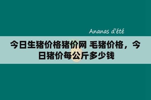 今日生猪价格猪价网 毛猪价格，今日猪价每公斤多少钱