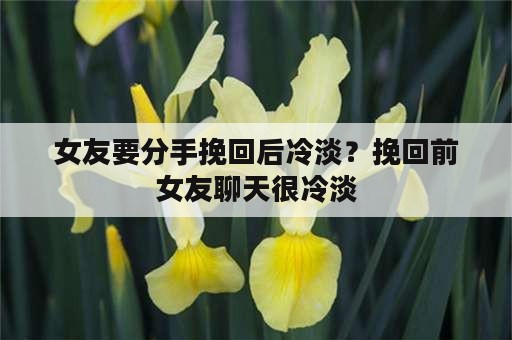 女友要分手挽回后冷淡？挽回前女友聊天很冷淡