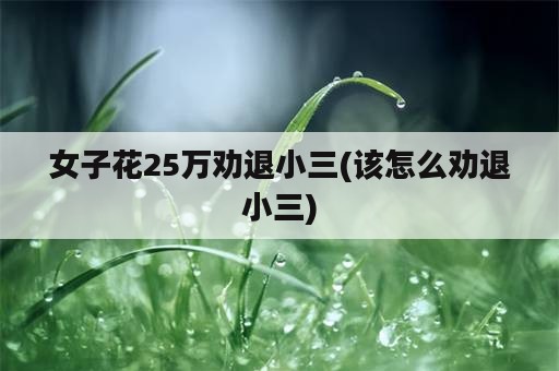 女子花25万劝退小三(该怎么劝退小三)