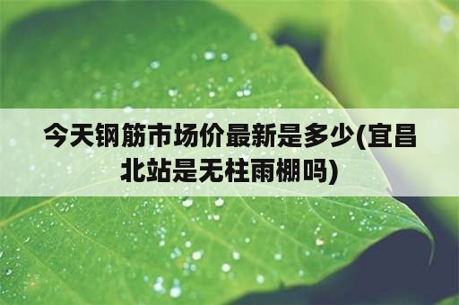 今天钢筋市场价最新是多少(宜昌北站是无柱雨棚吗)