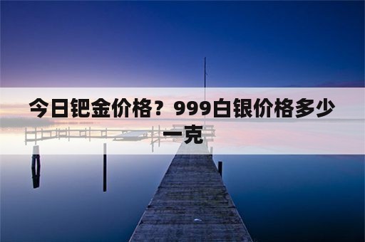 今日钯金价格？999白银价格多少一克