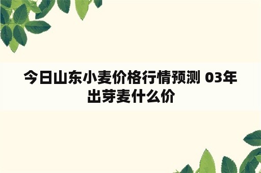 今日山东小麦价格行情预测 03年出芽麦什么价