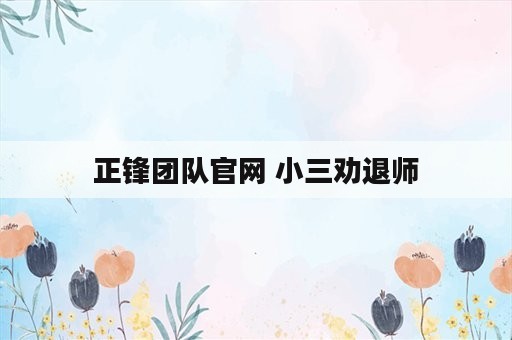 正锋团队官网 小三劝退师