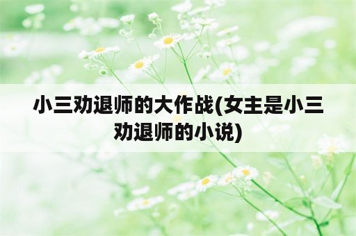 小三劝退师的大作战(女主是小三劝退师的小说)