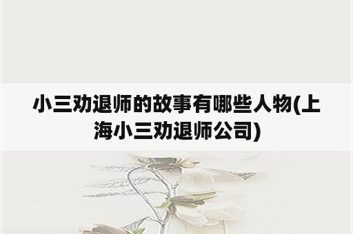 小三劝退师的故事有哪些人物(上海小三劝退师公司)