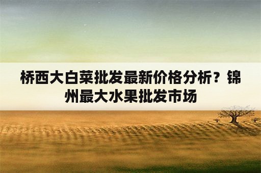 桥西大白菜批发最新价格分析？锦州最大水果批发市场