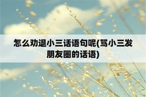 怎么劝退小三话语句呢(骂小三发朋友圈的话语)