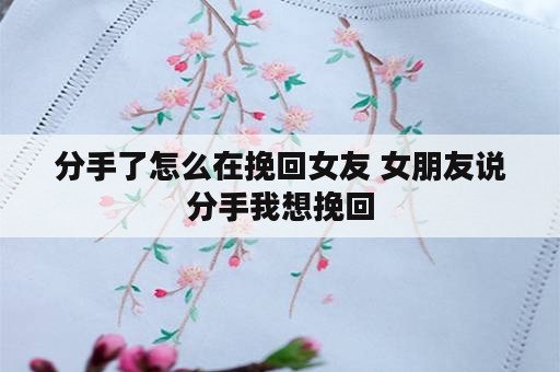 分手了怎么在挽回女友 女朋友说分手我想挽回