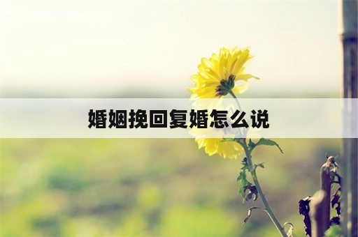 婚姻挽回复婚怎么说