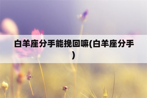 白羊座分手能挽回嘛(白羊座分手)