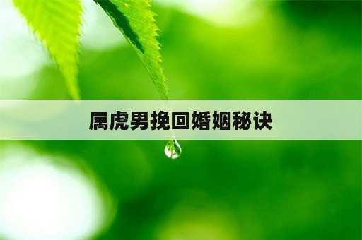 属虎男挽回婚姻秘诀