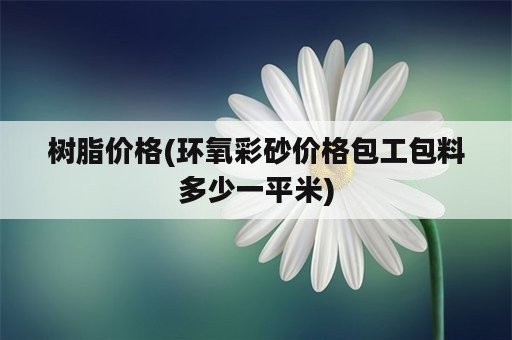 树脂价格(环氧彩砂价格包工包料多少一平米)