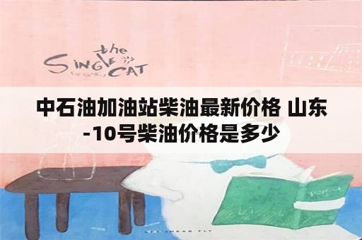 中石油加油站柴油最新价格 山东-10号柴油价格是多少