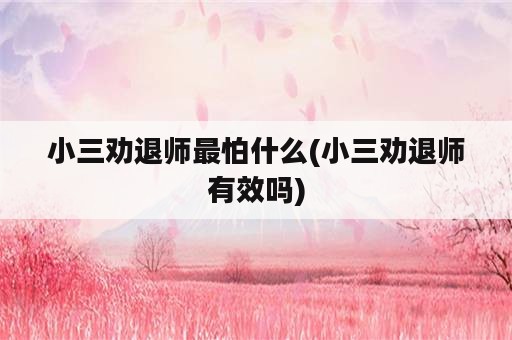 小三劝退师最怕什么(小三劝退师有效吗)