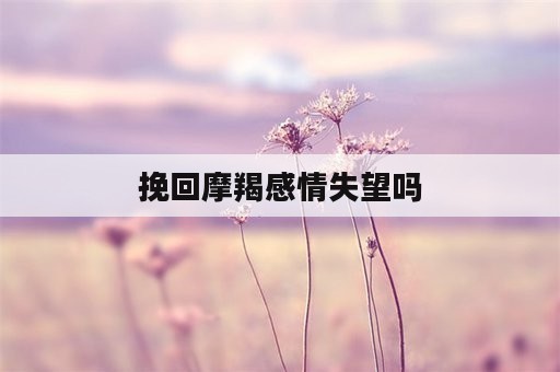 挽回摩羯感情失望吗