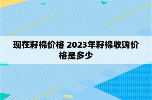 现在籽棉价格 2023年籽棉收购价格是多少