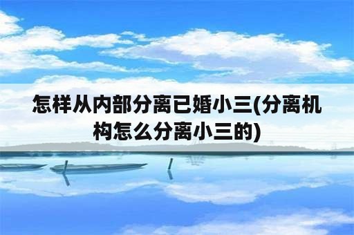 怎样从内部分离已婚小三(分离机构怎么分离小三的)