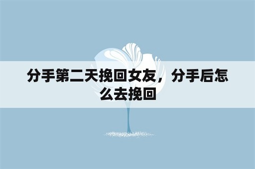 分手第二天挽回女友，分手后怎么去挽回