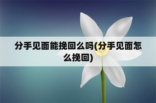 分手见面能挽回么吗(分手见面怎么挽回)