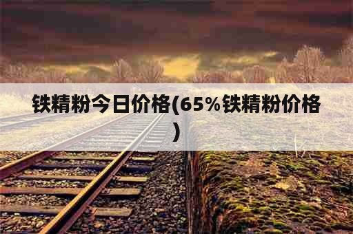 铁精粉今日价格(65%铁精粉价格)