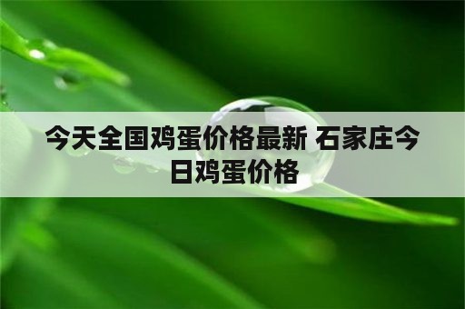 今天全国鸡蛋价格最新 石家庄今日鸡蛋价格