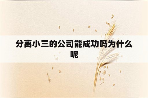 分离小三的公司能成功吗为什么呢