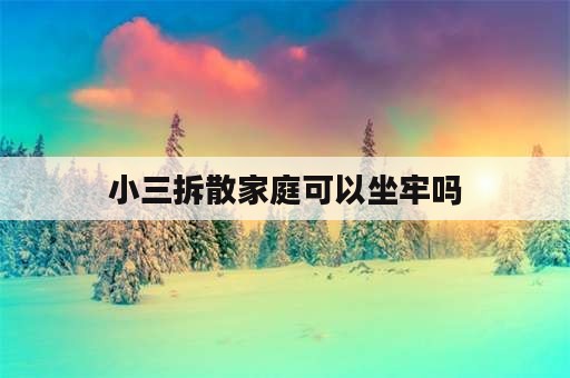 小三拆散家庭可以坐牢吗