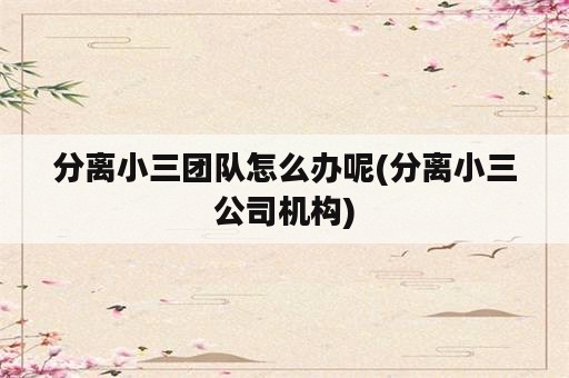 分离小三团队怎么办呢(分离小三公司机构)