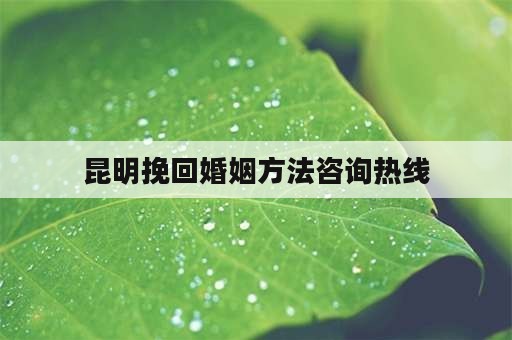 昆明挽回婚姻方法咨询热线