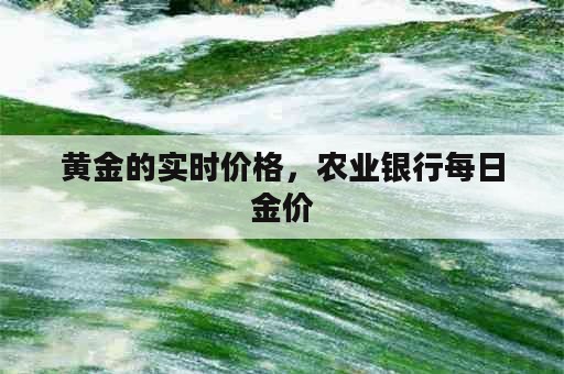 黄金的实时价格，农业银行每日金价