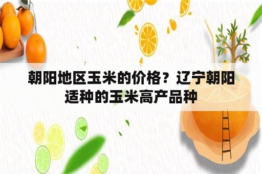 朝阳地区玉米的价格？辽宁朝阳适种的玉米高产品种