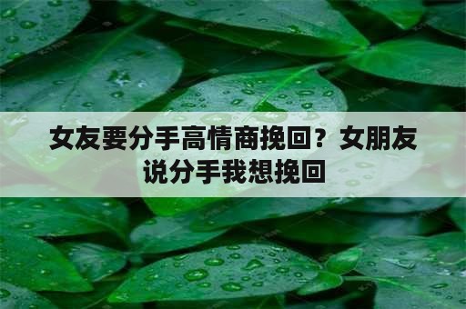 女友要分手高情商挽回？女朋友说分手我想挽回