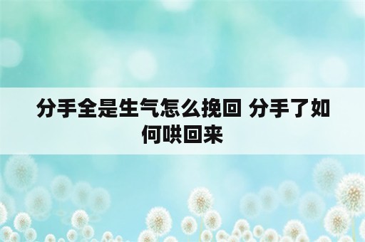 分手全是生气怎么挽回 分手了如何哄回来