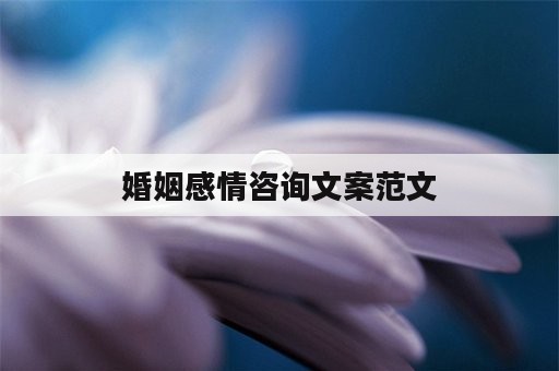 婚姻感情咨询文案范文