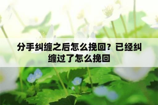 分手纠缠之后怎么挽回？已经纠缠过了怎么挽回