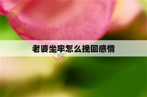 老婆坐牢怎么挽回感情