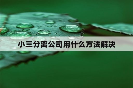 小三分离公司用什么方法解决