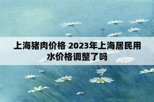 上海猪肉价格 2023年上海居民用水价格调整了吗